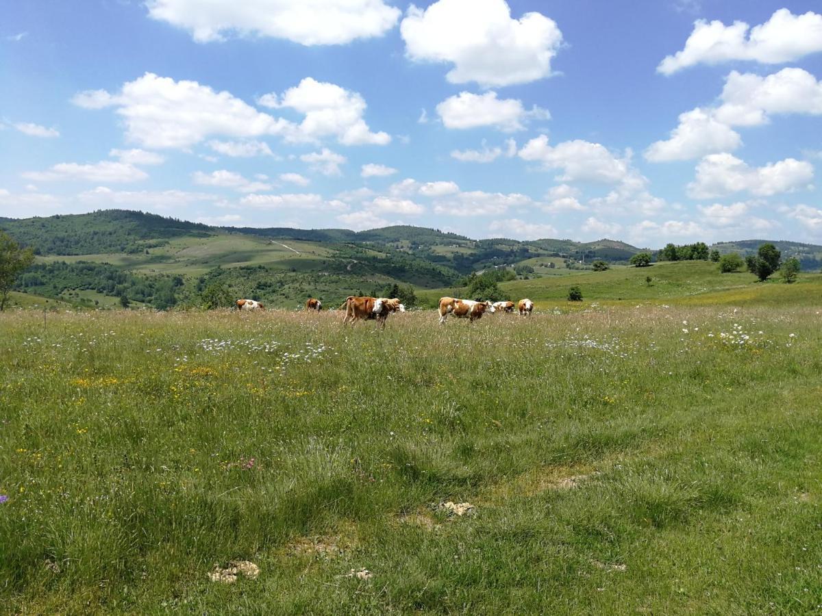 Apartmán Drveni Raj Uvac Sjenica Exteriér fotografie